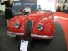 jaguarxk1201953_small.jpg