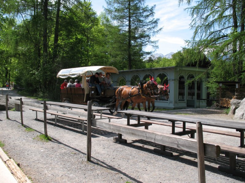 ballenbergbe07may2009130.jpg