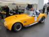 accobra4271992_small.jpg