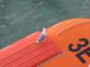 sep2014venice499_small.jpg