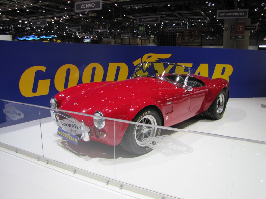 accobra4271965.jpg