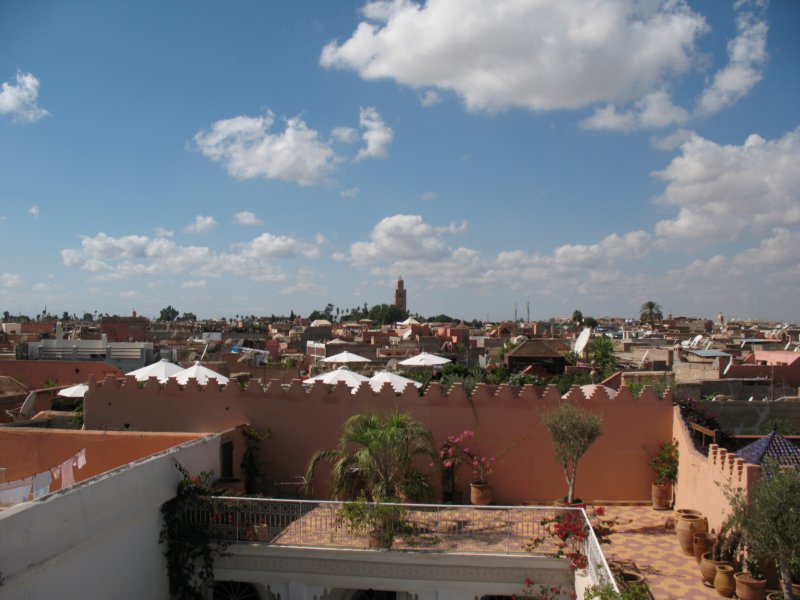 Photograph