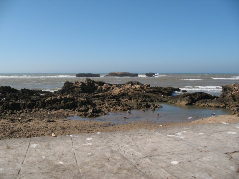 Photograph