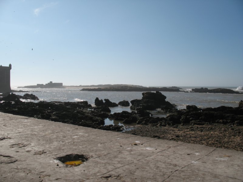 Photograph