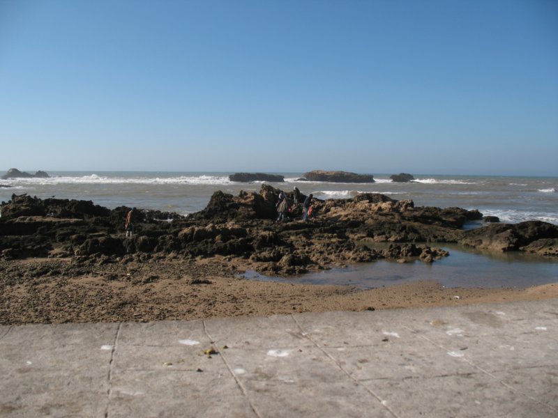 Photograph