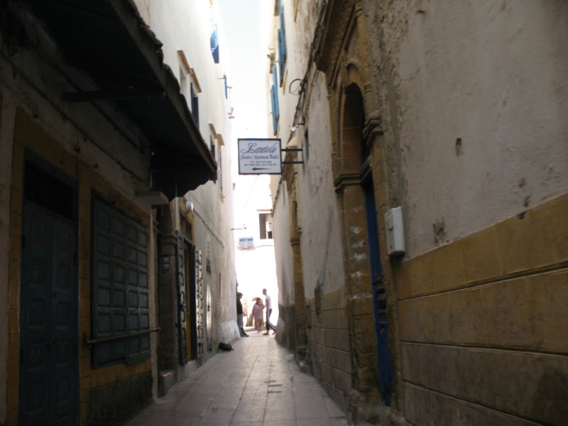 Photograph