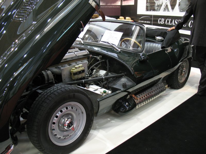 jaguaretypes4.jpg