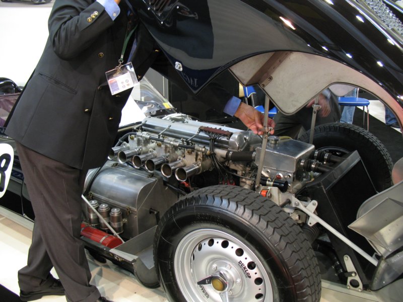 knobblylisterjaguarbhl1619584.jpg