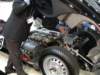 knobblylisterjaguarbhl1619584_small.jpg