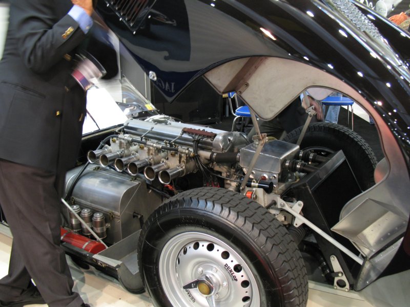 knobblylisterjaguarbhl1619585.jpg