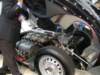 knobblylisterjaguarbhl1619585_small.jpg