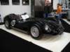 knobblylisterjaguarbhl1619586_small.jpg