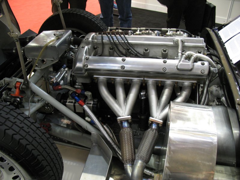 knobblylisterjaguarbhl161958seebelowforfulldetails.jpg