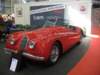 jaguarxk12019533_small.jpg