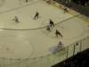 nov2009minnesotawildvsphoenixcoyotesxcelenergycenter11_small.jpg
