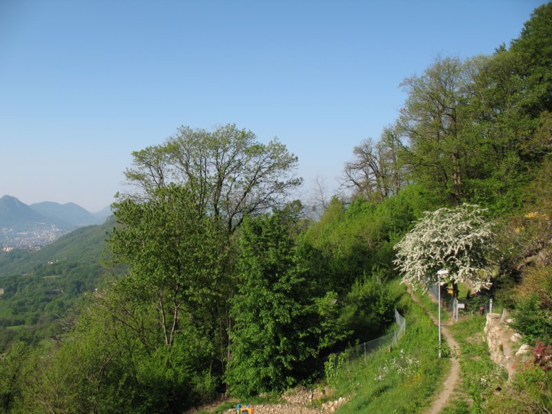 aviewfromroveredocapriascati03may20098.jpg