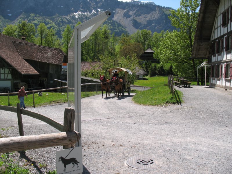 ballenbergbe07may20096.jpg