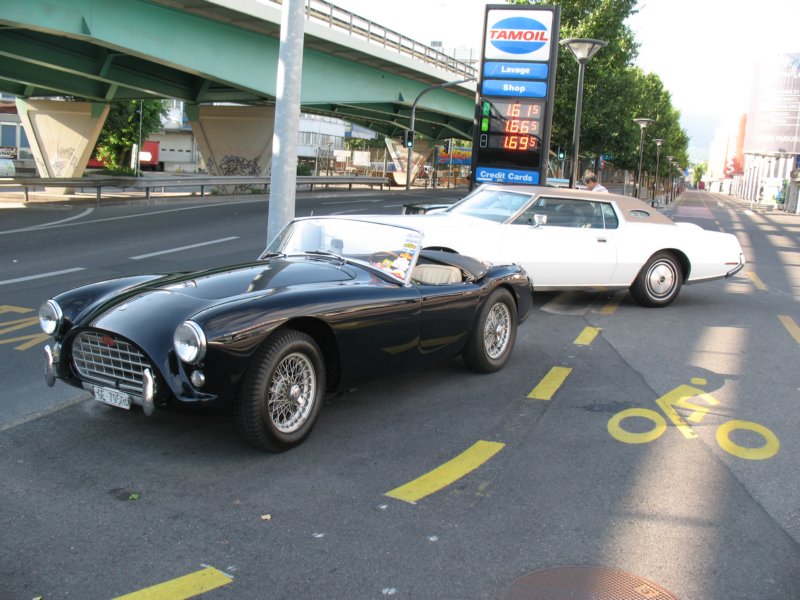 acace3.jpg