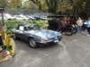 jaguarxjsv126_small.jpg