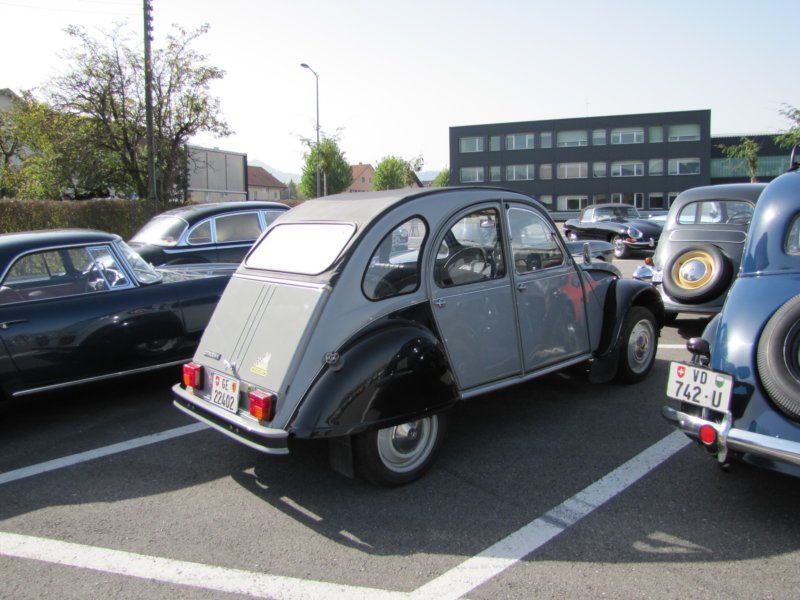 citron2cv.jpg