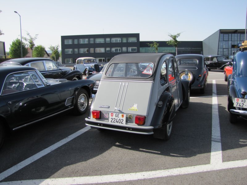 citron2cv5.jpg