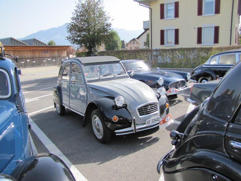 citron2cv8.jpg