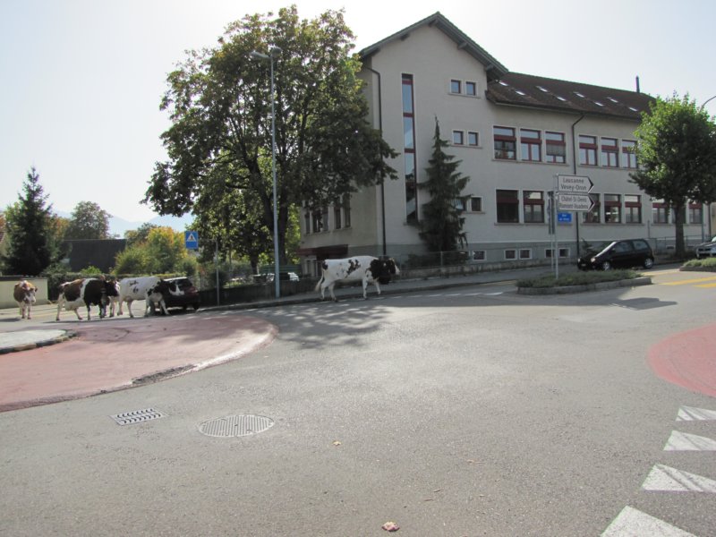 img_2710.jpg