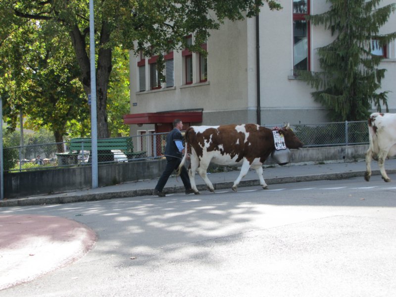 img_2717.jpg