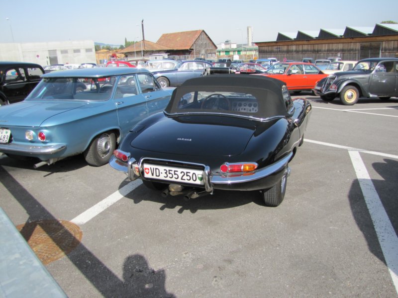 jaguaretypeots2.jpg