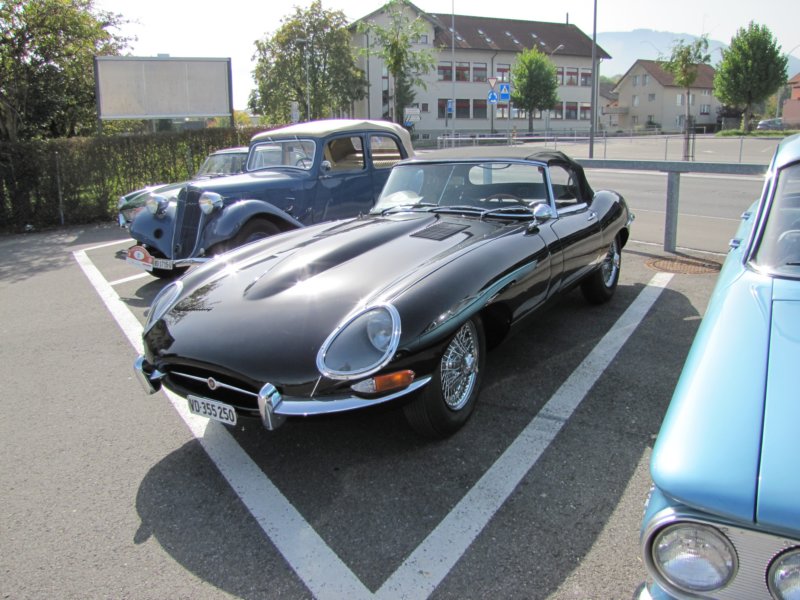jaguaretypeots4.jpg
