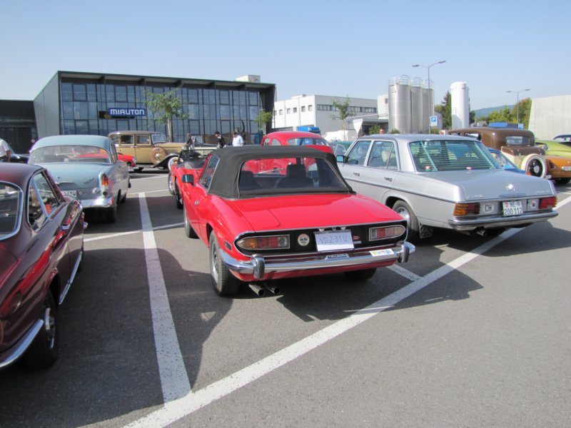 triumphstag.jpg