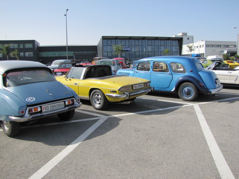 triumphstag10.jpg