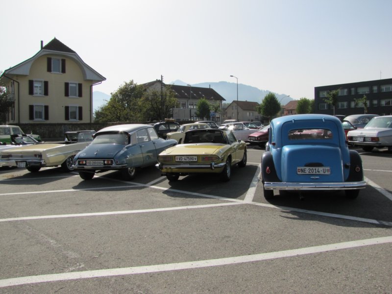 triumphstag14.jpg