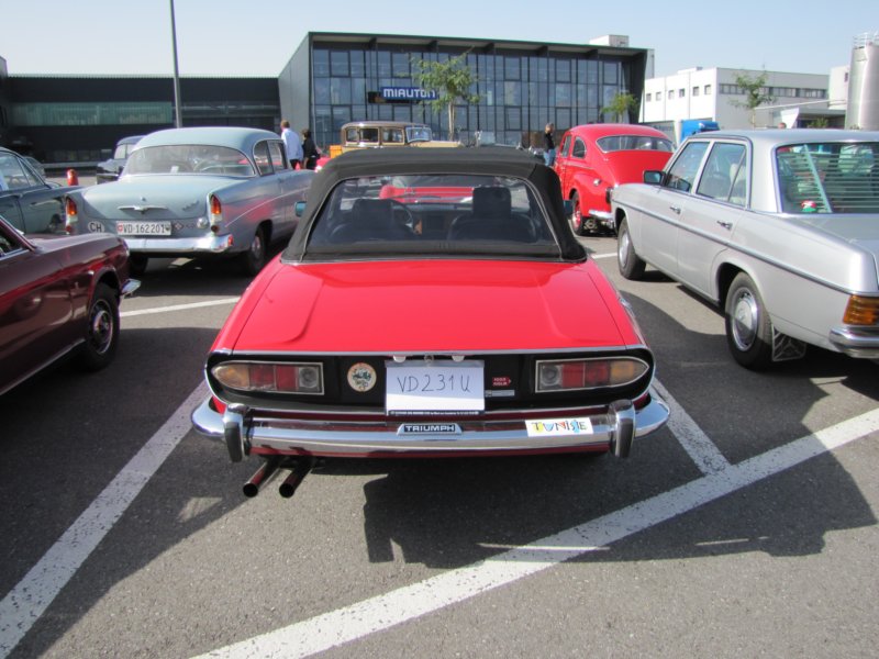 triumphstag2.jpg
