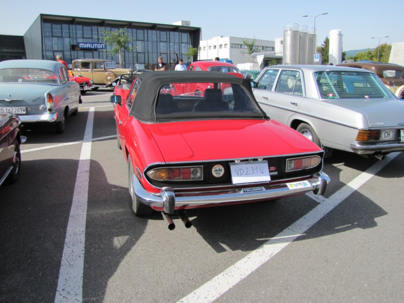 triumphstag5.jpg