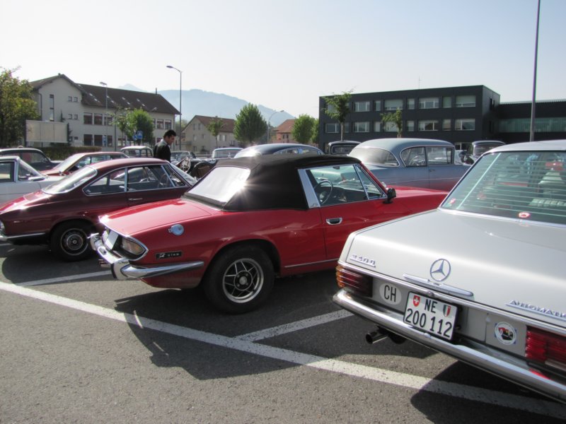 triumphstag7.jpg
