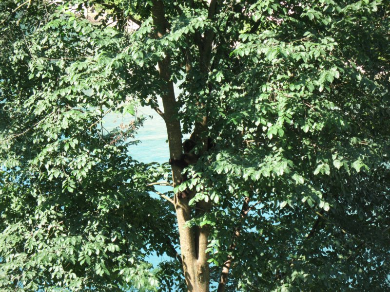 img_2824.jpg