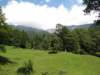 img_0800_small.jpg