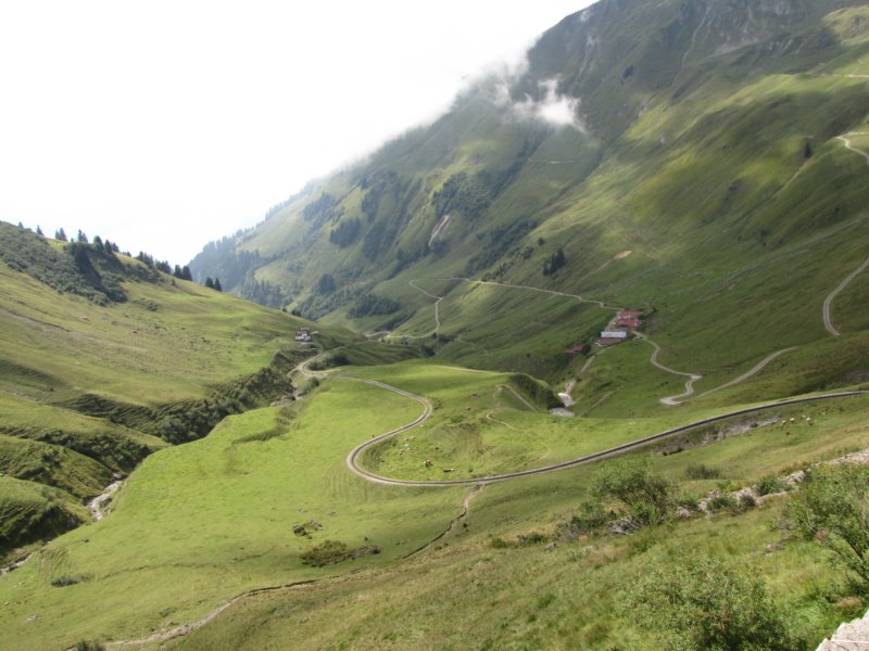 img_0849.jpg