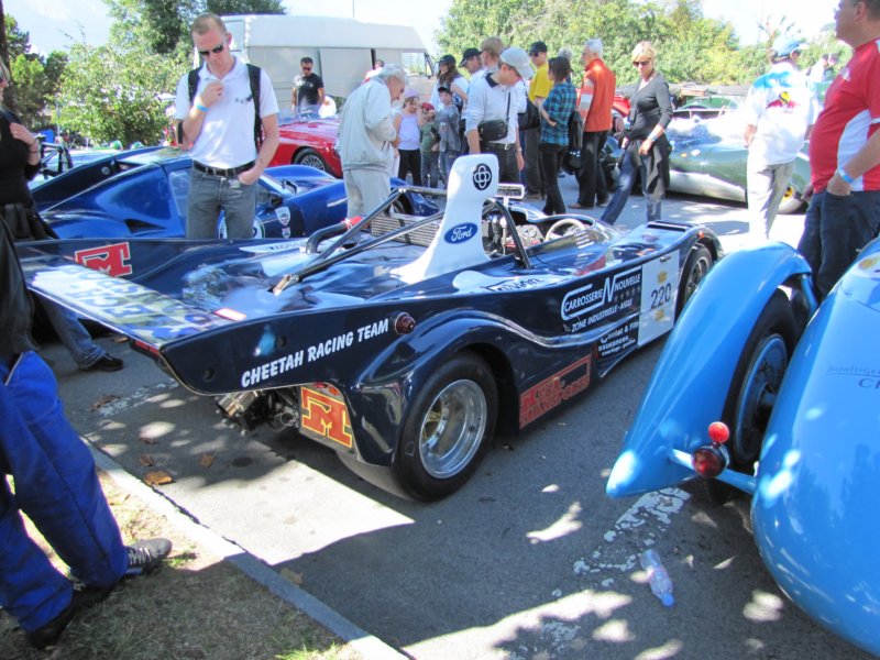 cheetahg60119772.jpg