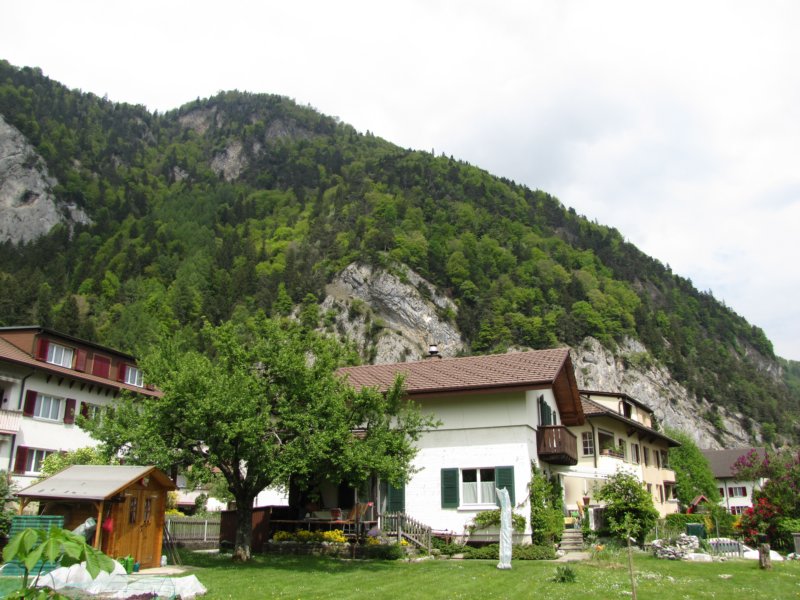 img_7597.jpg