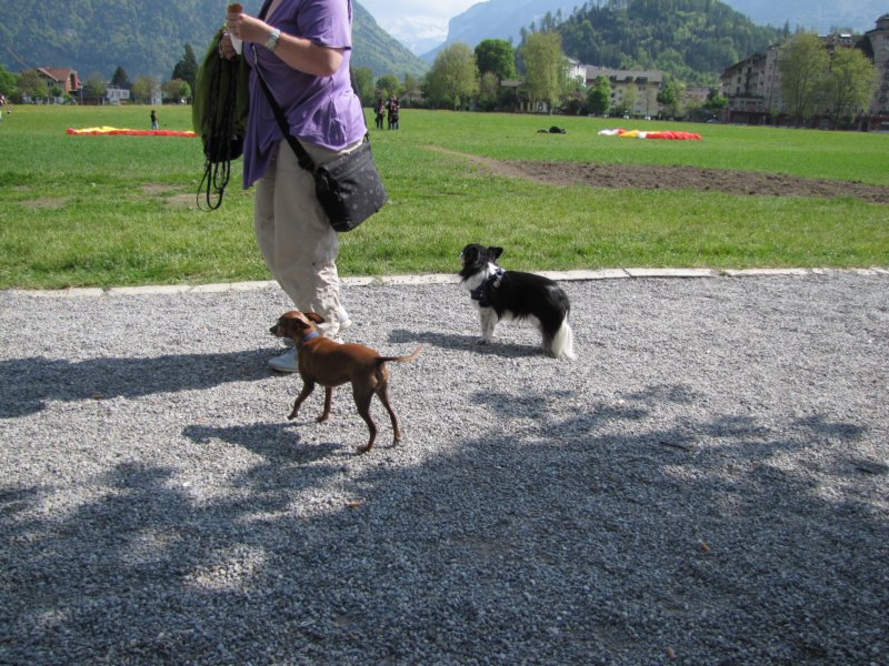img_7654.jpg