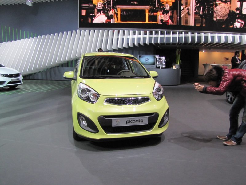 kiapicanto2.jpg