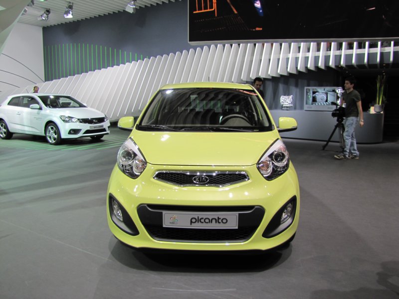 kiapicanto3.jpg