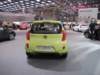kiapicanto4_small.jpg