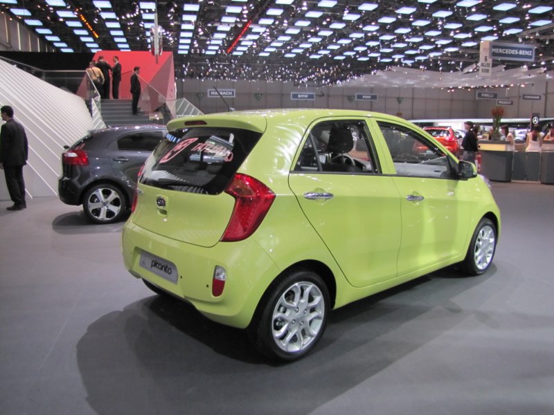 kiapicanto6.jpg