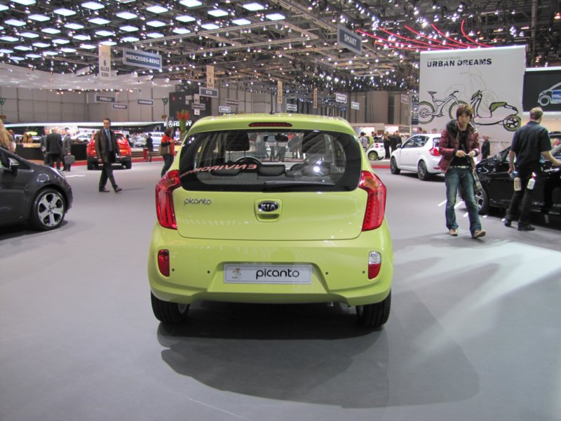 kiapicanto7.jpg