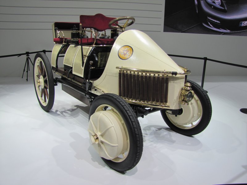 lohnerporschesempervivushybrid190020112.jpg