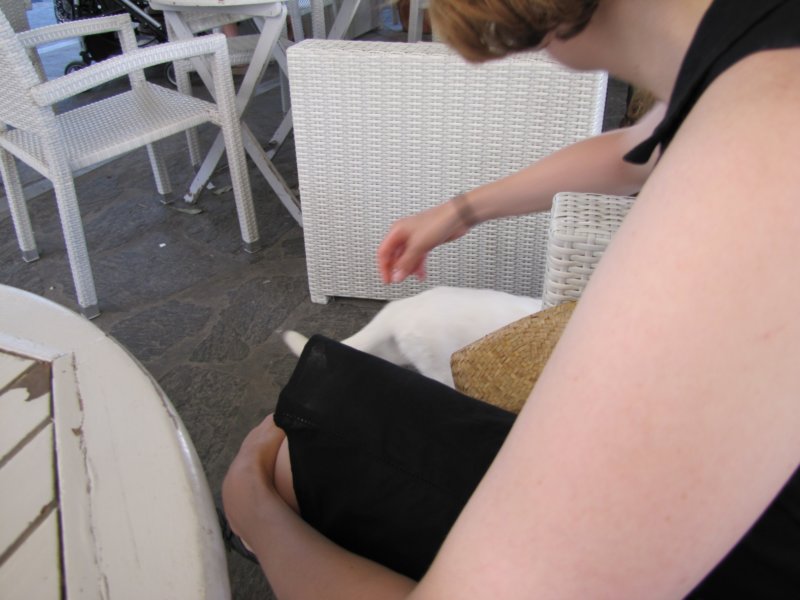 sep2011paroiki76.jpg