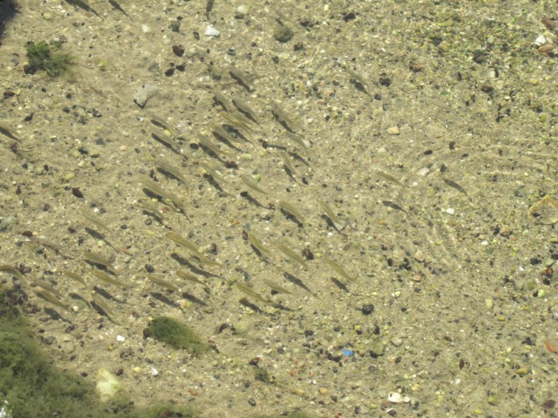 sep2011parosnaousa32.jpg